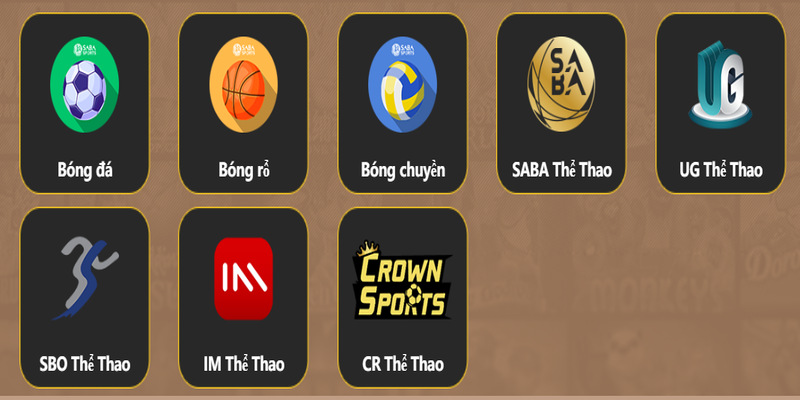 thể thao 79king